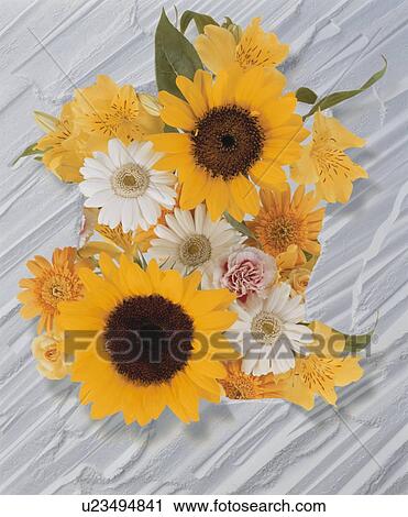 Flowers arranged on a textured background View Large Photo Image Stock Image - Flowers arranged on a textured background. Fotosearch