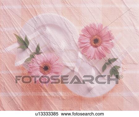Flowers arranged on a textured background View Large Photo Image Stock Photography - Flowers arranged on a textured background. Fotosearch