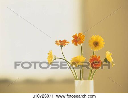 Flowers in a vase on a tabletop View Large Photo Image Stock Image - Flowers in a vase on a tabletop. Fotosearch