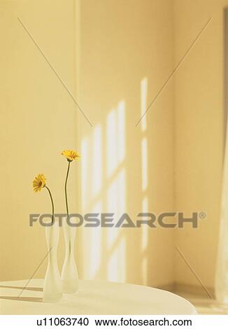 Flowers in a vase on a tabletop View Large Photo Image Stock Image - Flowers in a vase on a tabletop. Fotosearch
