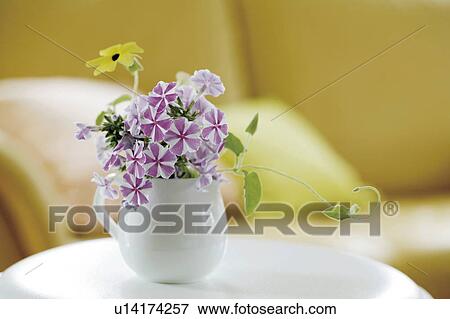 Stock Photo - Flowers in a Vase. Fotosearch