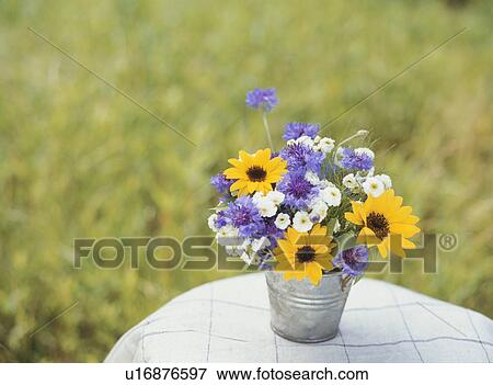 Flowers in bucket View Large Photo Image Stock Photo - Flowers in bucket. Fotosearch