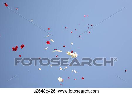 Stock Photograph - Flowers in sky. Fotosearch