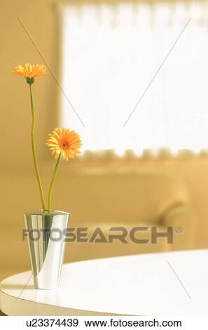 Stock Photo - Flowers in vase on table. Fotosearch