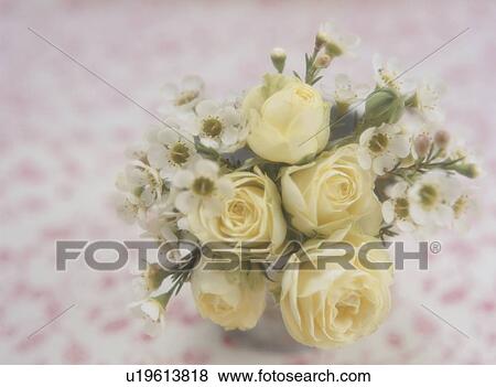 Stock Photo - Flowers in vase. Fotosearch