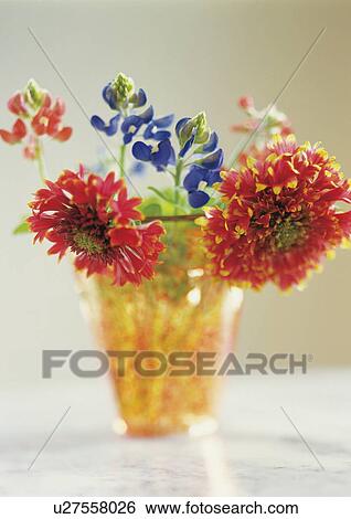 Stock Photograph - Flowers in vase. Fotosearch