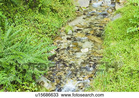 Flowing Stream, Agematsu-machi, Nagano Prefecture, Japan View Large Photo Image Stock Image - Flowing Stream, Agematsu-machi, Nagano Prefecture, Japan. Fotosearch