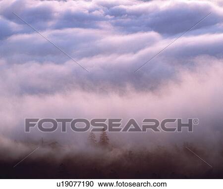 Stock Image - Fog Over Kushiro Lake. Fotosearch
