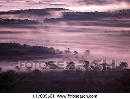 Foggy Swale View Large Photo Image Stock Image - Foggy Swale. Fotosearch