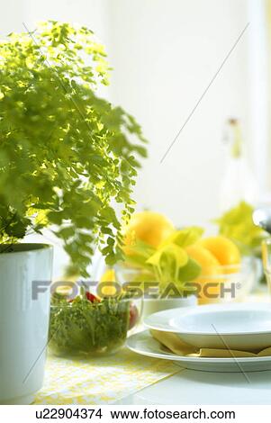 Picture - Food arranged on dining table. Fotosearch