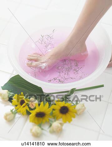 Foot in a bowl of water View Large Photo Image Stock Image - Foot in a bowl of water. Fotosearch