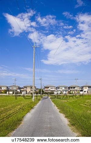 Stock Photo - Footpath between fields. Yasu, Shiga Prefecture, Japan. Fotosearch