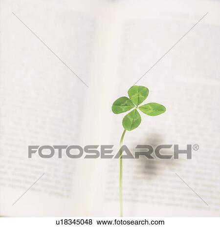 Stock Photo - Four leafed clover on book. Fotosearch