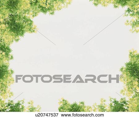 Frame of leafy trees View Large Photo Image Stock Photo - Frame of leafy trees. Fotosearch