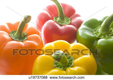 Fresh bell peppers View Large Photo Image Stock Photo - Fresh bell peppers. Fotosearch