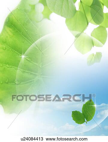 Stock Image - Fresh green leaves in the sunlight seen through a glass sphere. Fotosearch