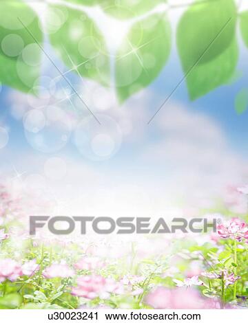 Stock Image - Fresh green leaves in the sunlight. Fotosearch