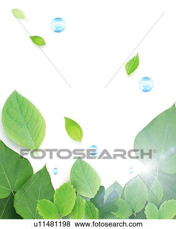 Stock Photo - Fresh green leaves in the sunlight. Fotosearch