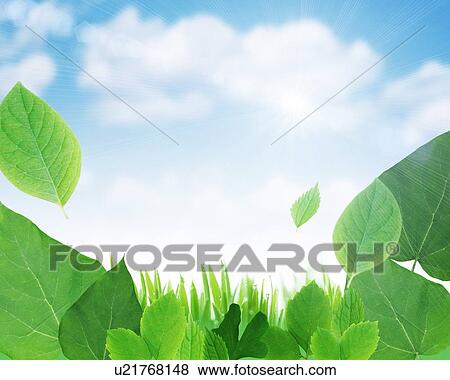 Fresh green leaves in the sunlight View Large Photo Image Stock Photo - Fresh green leaves in the sunlight. Fotosearch