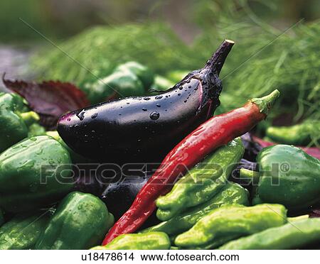 Picture - Fresh peppers and eggplant. Fotosearch