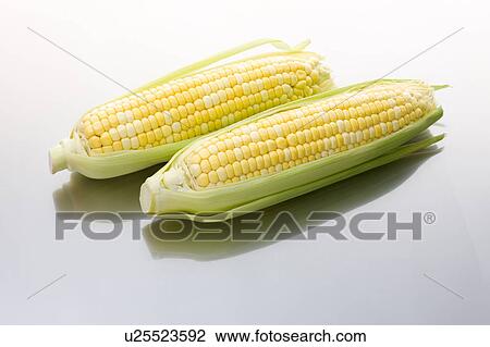 Stock Image - Fresh yellow corn. Fotosearch
