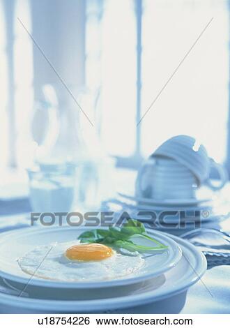 Fried egg on plate with salad greens View Large Photo Image Stock Photograph - Fried egg on plate with salad greens. Fotosearch