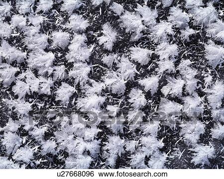 Full Frame of Frost View Large Photo Image Stock Photograph - Full Frame of Frost. Fotosearch