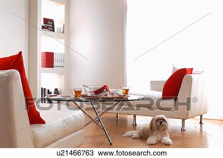 Stock Image - Furnished living room with dog. Fotosearch