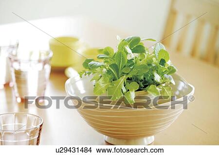 Picture - Garden lettuce mix in a pot on the table. Fotosearch
