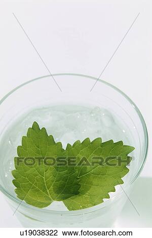 Stock Image - Garnish in glass of water. Fotosearch