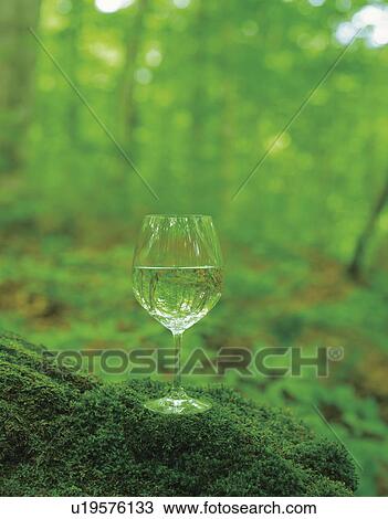 Stock Image - Glass of water in a forest. Fotosearch