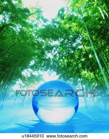 Stock Image - Glass sphere in a bamboo forest. Fotosearch