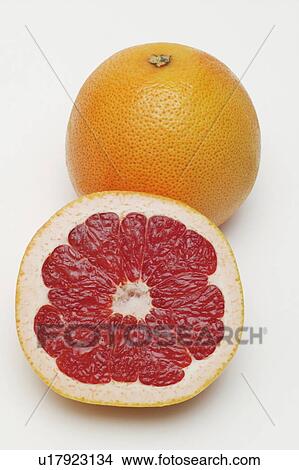 Picture - Grapefruit sliced in half, white background. Fotosearch