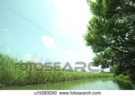 Green by Channel View Large Photo Image Stock Image - Green by Channel. Fotosearch