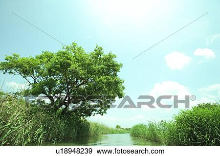 Green by Channel View Large Photo Image Stock Photo - Green by Channel. Fotosearch