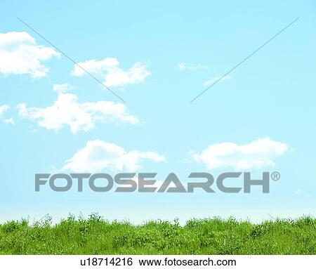 Green Field and Blue Sky View Large Photo Image Stock Photograph - Green Field and Blue Sky. Fotosearch