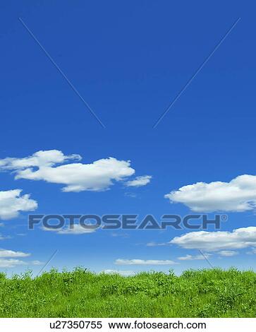 Green Field and Blue Sky View Large Photo Image Stock Photography - Green Field and Blue Sky. Fotosearch