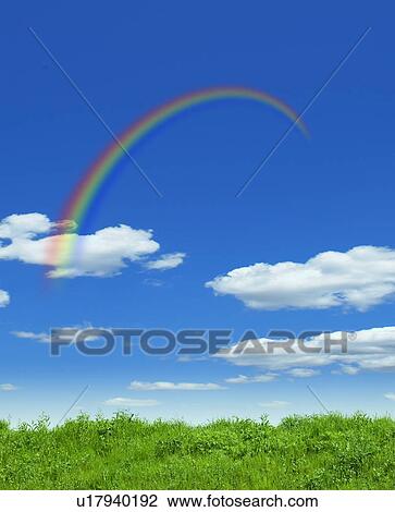 Green Field and Rainbow in Sky View Large Photo Image Stock Image - Green Field and Rainbow in Sky. Fotosearch