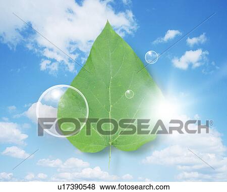 Stock Photo - Green leaf in the sky with spheres. Fotosearch