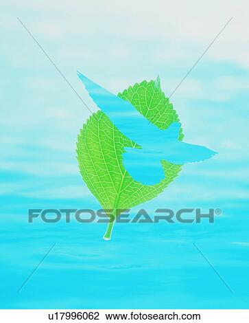Green leaf with blue bird View Large Photo Image Stock Image - Green leaf with blue bird. Fotosearch