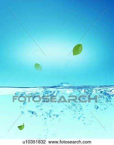 Stock Image - Green leaves and bubbles on water surface. Fotosearch