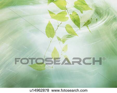 Stock Photo - Green leaves. Fotosearch