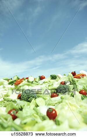 Stock Image - Green Salad and Blue Sky. Fotosearch