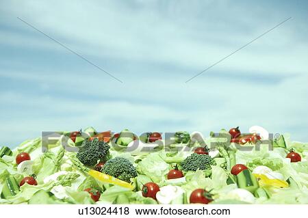 Green Salad and Blue Sky View Large Photo Image Stock Photo - Green Salad and Blue Sky. Fotosearch
