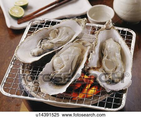 Grilled oyster with charcoal fire View Large Photo Image Stock Photography - Grilled oyster with charcoal fire. Fotosearch