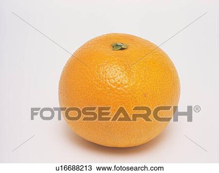 Stock Image - Hassaku orange. Fotosearch