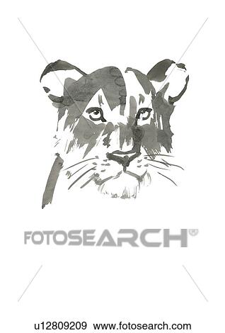 Head of Lion, Black Ink Illustration View Large Photo Image Stock Photo - Head of Lion, Black Ink Illustration. Fotosearch