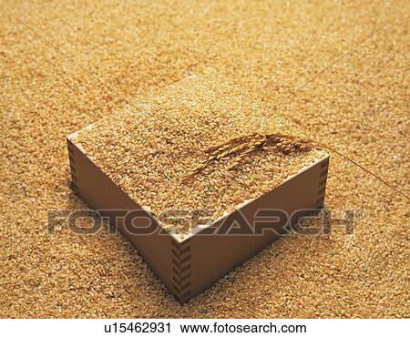 Heap of brown rice, full frame View Large Photo Image Stock Image - Heap of brown rice, full frame. Fotosearch