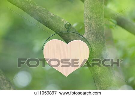Heart shape ornament hanging on tree View Large Photo Image Stock Photo - Heart shape ornament hanging on tree. Fotosearch