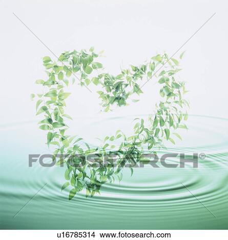Picture - Heart shaped wreath and rippled water. Fotosearch